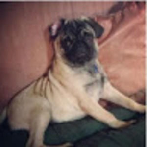 Meet your Posher, Simaran